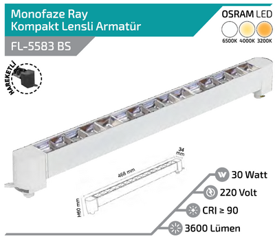 FL-5583 BS 30W Beyaz Kasa Silver Lensli Hareketli Ray Armatürü