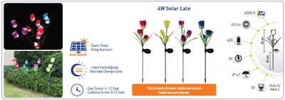 Solar Led / Lale / 4w / ip67 