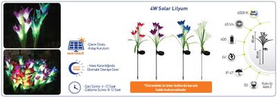 Solar Led / Lilyum / 4w / ip67 