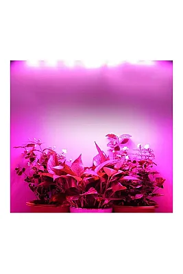 ACK AT21-03600 Mor Led Bitki Yetiştirme Armatürü 36 Watt - 2
