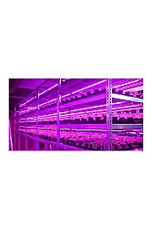 ACK AT21-03600 Mor Led Bitki Yetiştirme Armatürü 36 Watt - 4