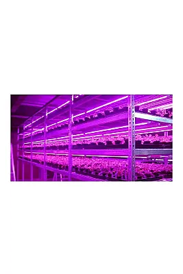 ACK AT21-03600 Mor Led Bitki Yetiştirme Armatürü 36 Watt - 4