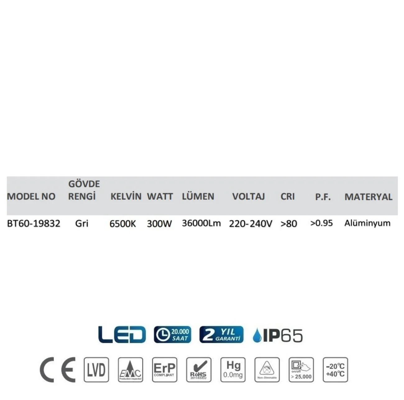 Braytron BT60-19832 250 Watt LED Projektör - Thumbnail