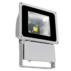 LEDAVM - 100 Watt Cob Led Projektör