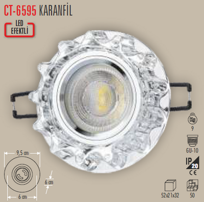 CT-6595 Karanfil Cam Spot