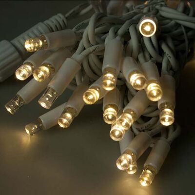 İp Led / 10 Metre / 100 Led / Slikonlu / Sabit Yanar / Eklenebilir / IP65 DIŞ MEKAN 
