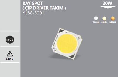 Noas YL88-3001 Ray Spot Çip Driver Takım 30 Watt